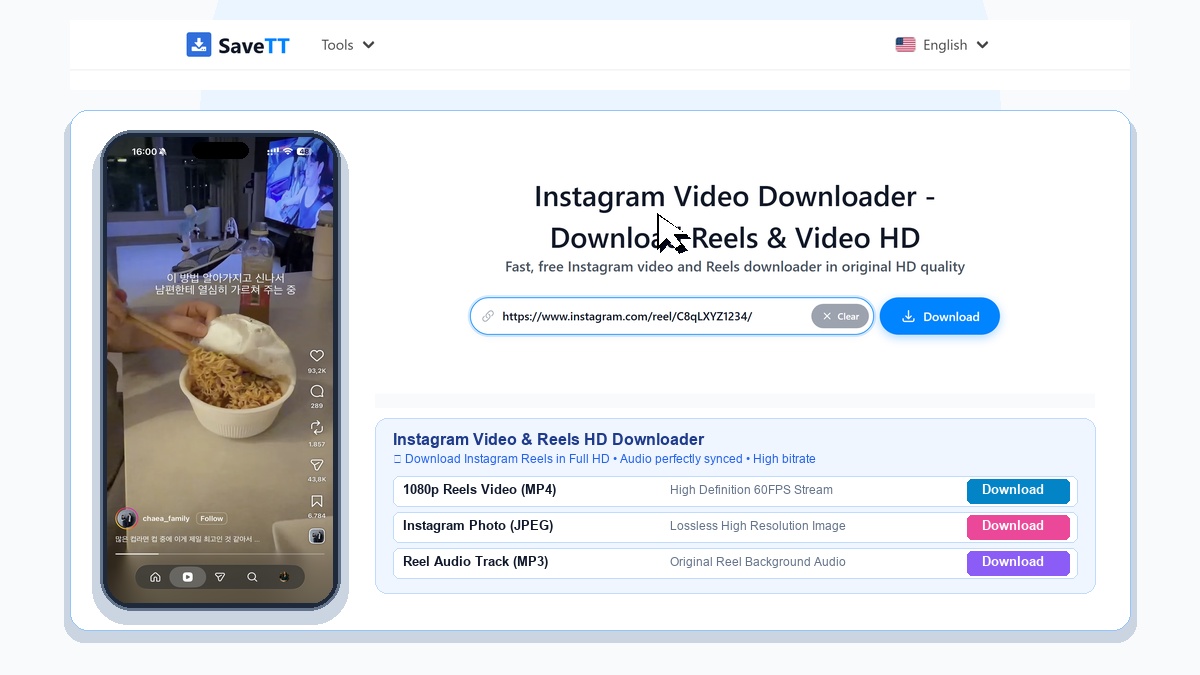 SaveTT EN Instagram Downloader