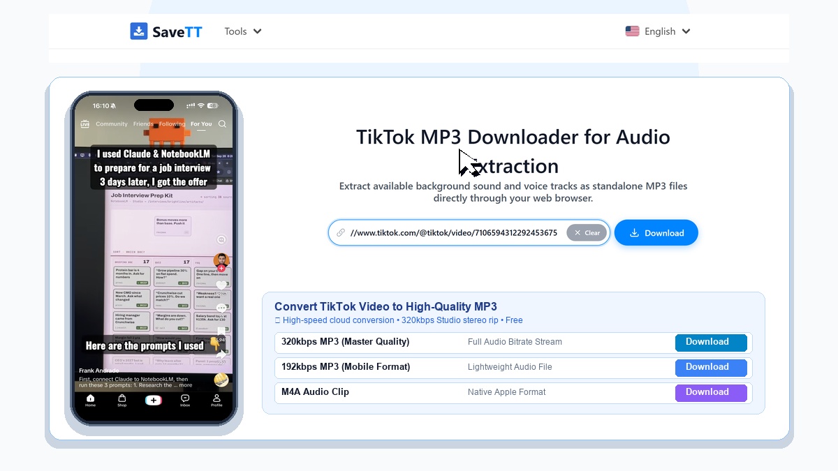 SaveTT EN Mp3 Downloader