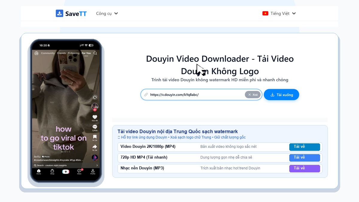 SaveTT VI Douyin Downloader