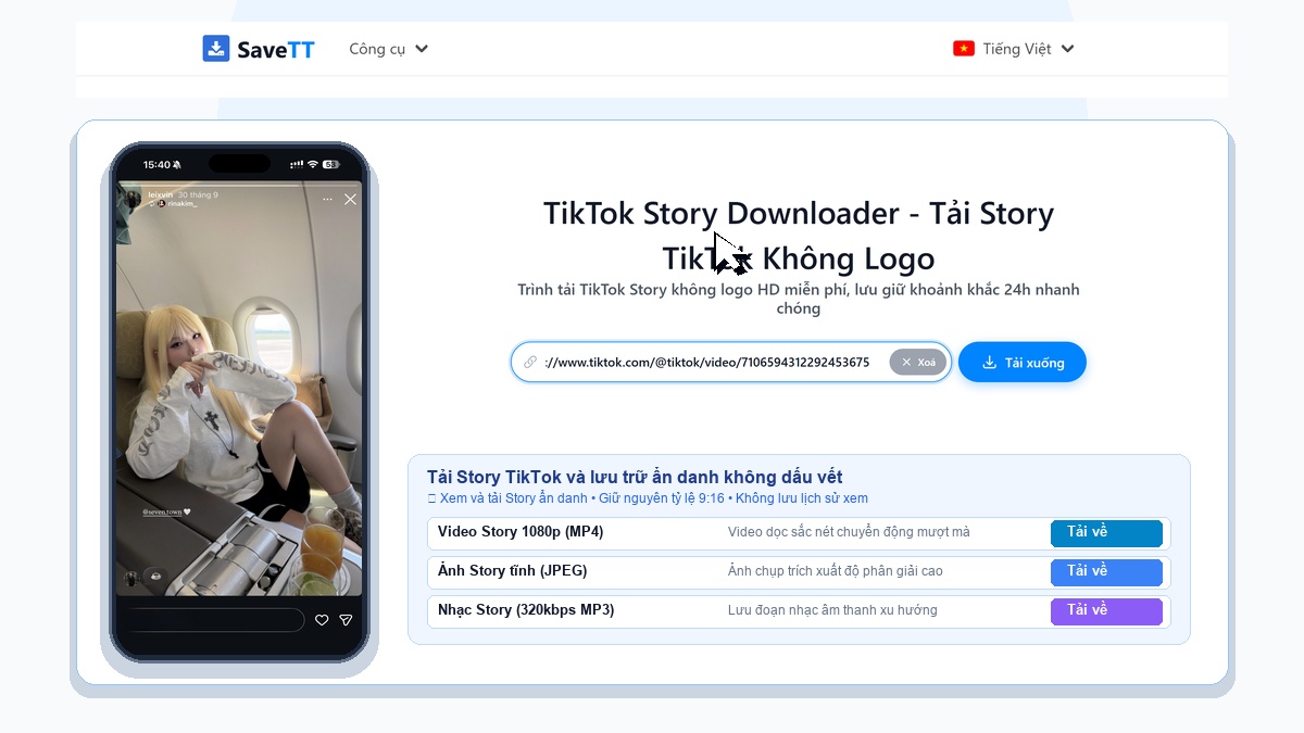 SaveTT VI Story Downloader