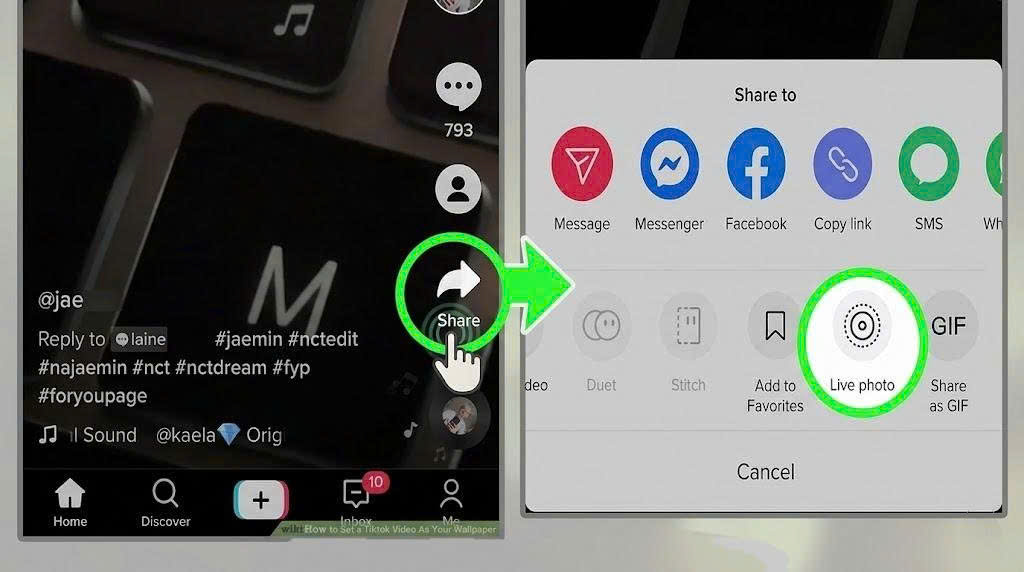 How to Turn TikTok Videos into Phone Wallpapers in Seconds - SaveTT guide