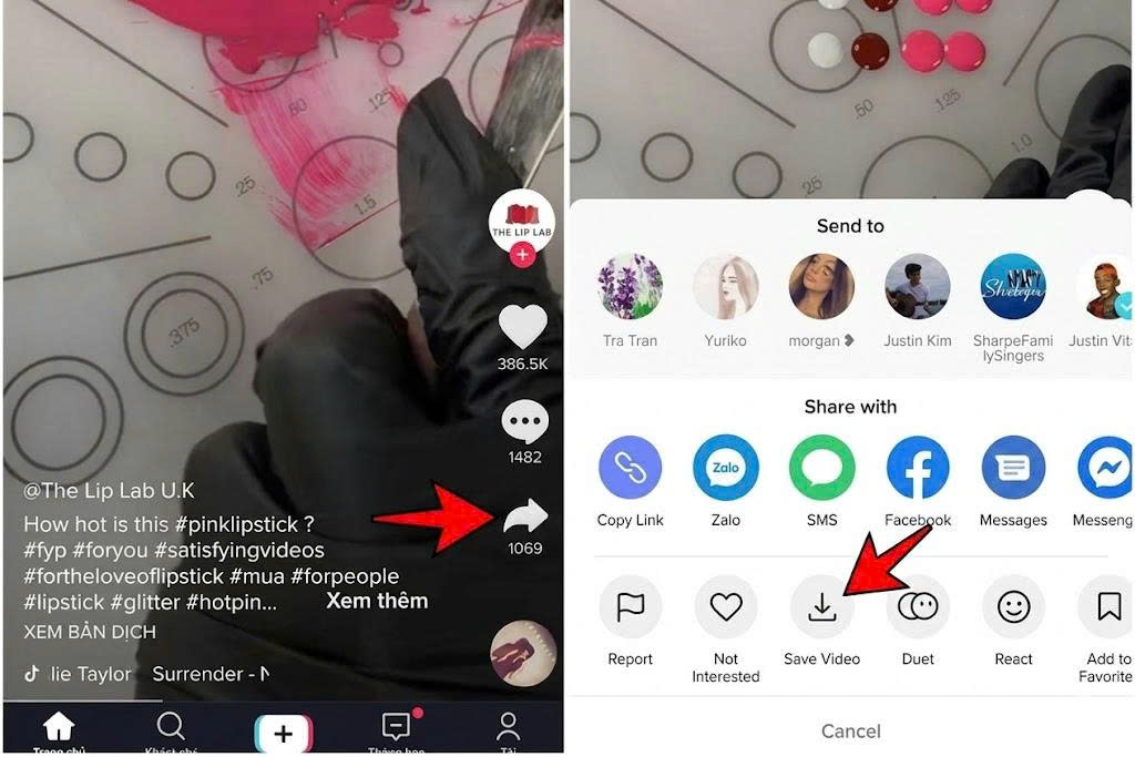 Step-by-Step Guide to Setting TikTok Videos as Ringtones on iPhone - SaveTT guide