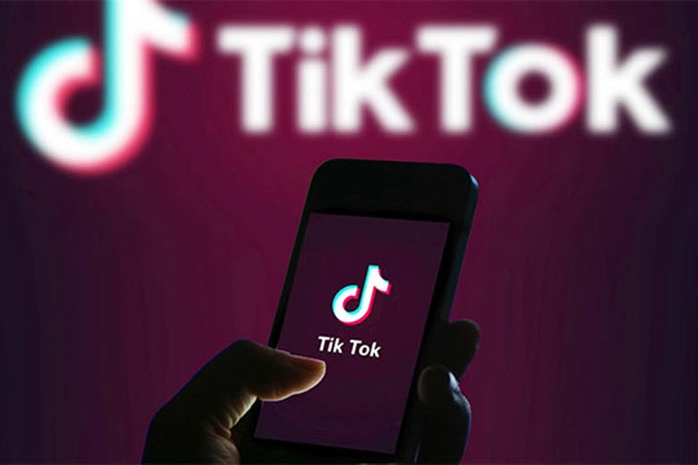 How to View Your Activity History on TikTok: Easy Steps for 2026